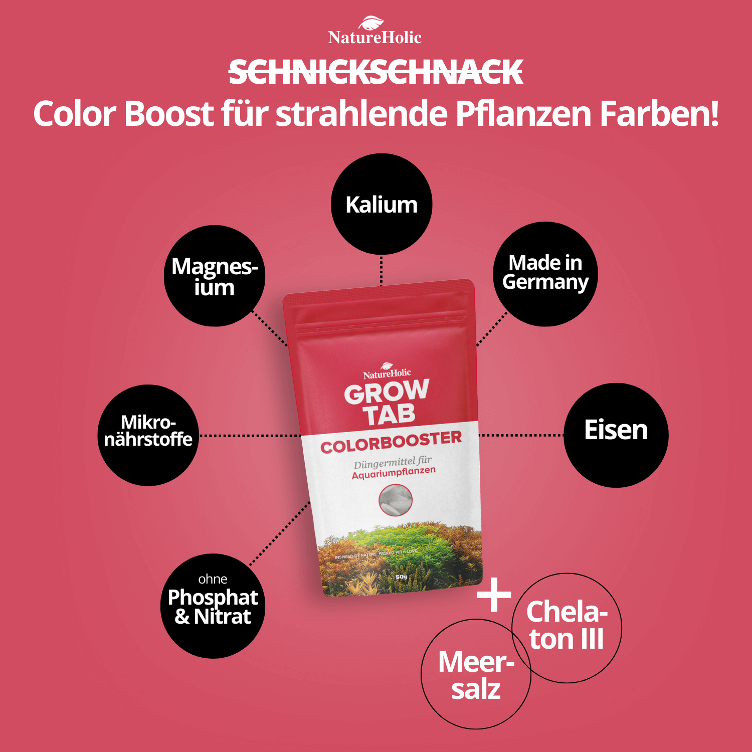 Verpackung: NatureHolic Grow Tab Colorbooster Dünger